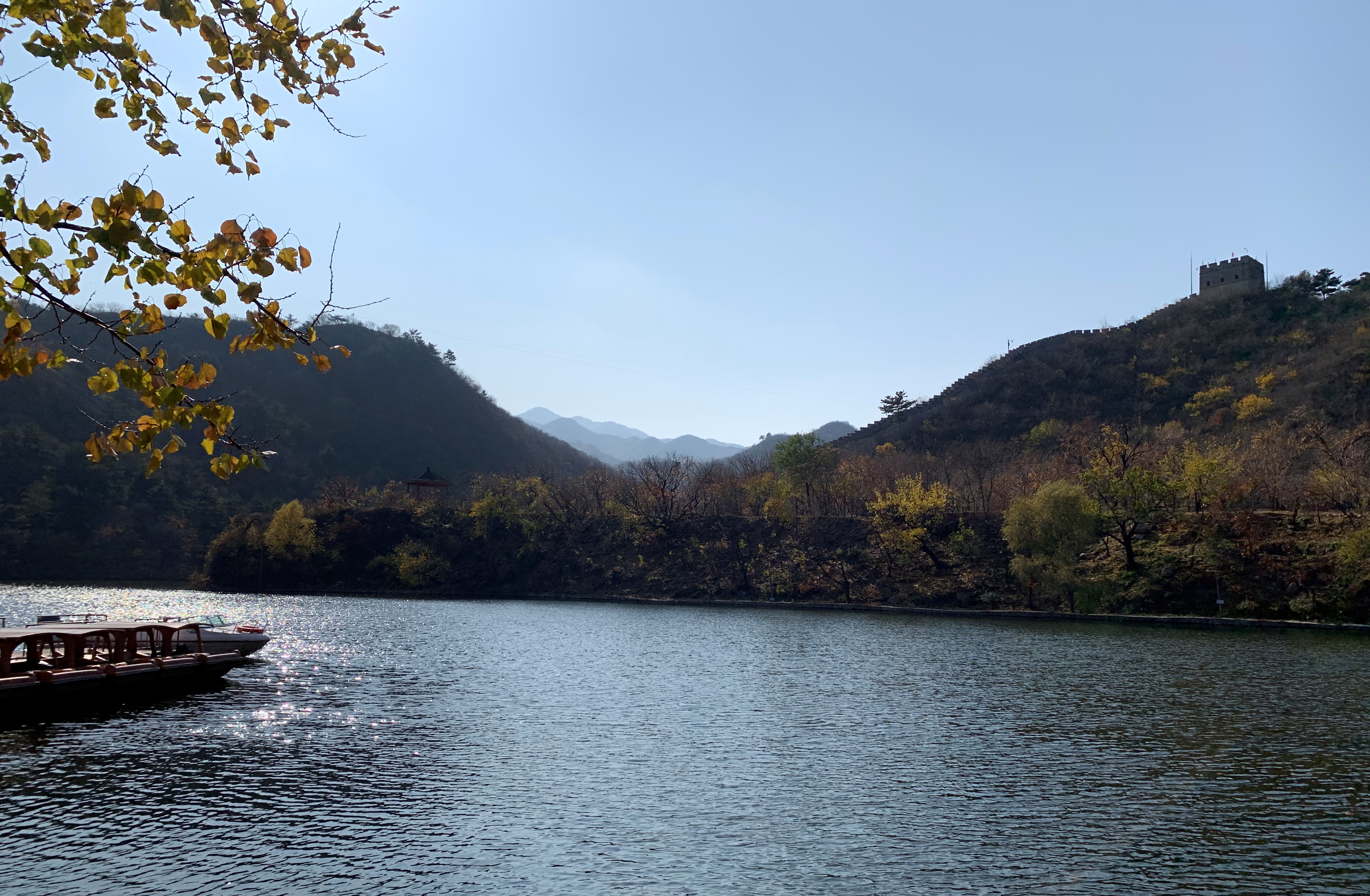 image is not available